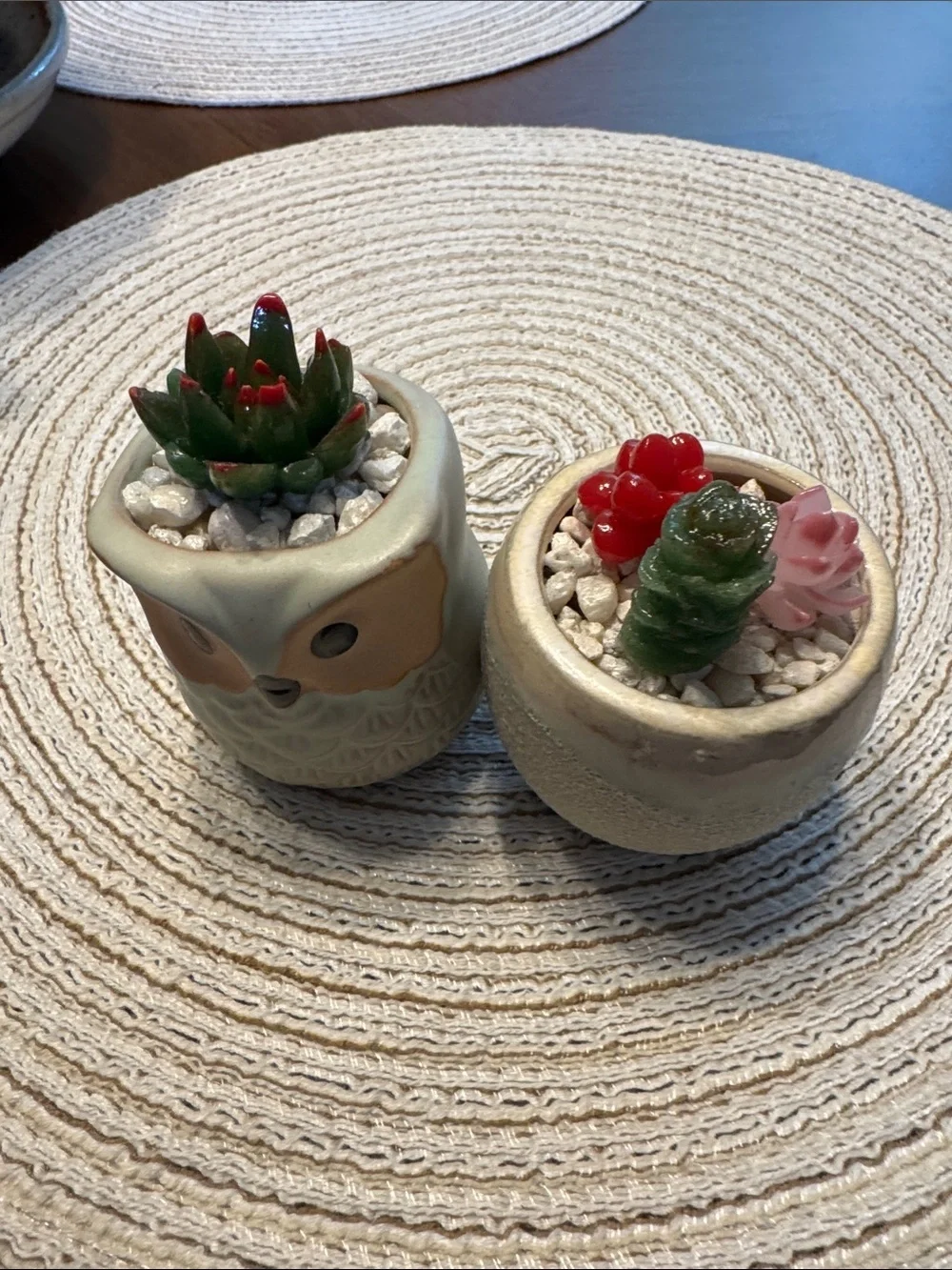 Ceramic Owl & Round Planter Pair with Faux Succulents - Soft Sage and Cream